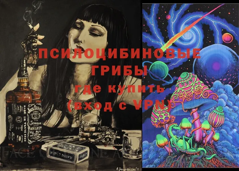 Псилоцибиновые грибы Magic Shrooms  МЕГА вход  Переславль-Залесский 